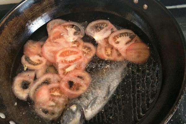 鲫鱼汤的做法图解4