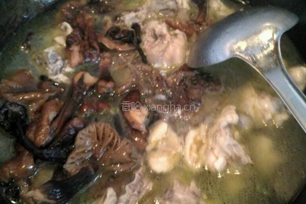 榛蘑炖鸡腿的做法图解10