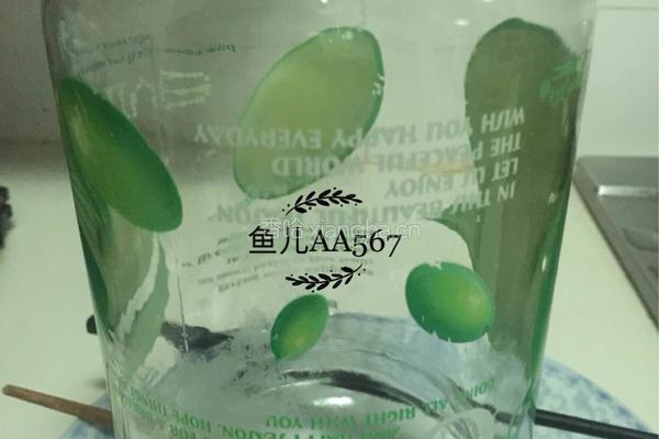 火龙果酸奶的做法图解2
