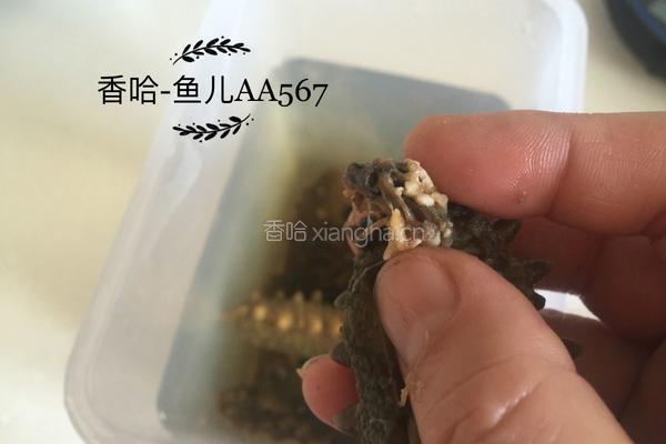 发海参的做法图解5