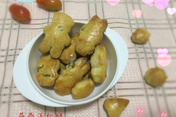 动物葡萄干松饼