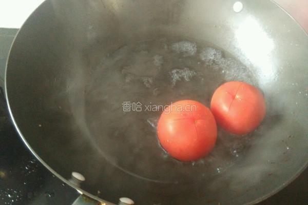 牛腩炖西红柿的做法图解15