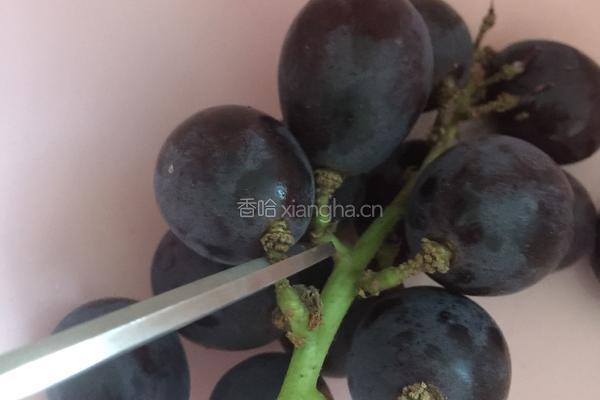 洗葡萄的做法图解1