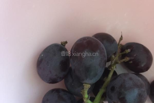 洗葡萄的做法图解2