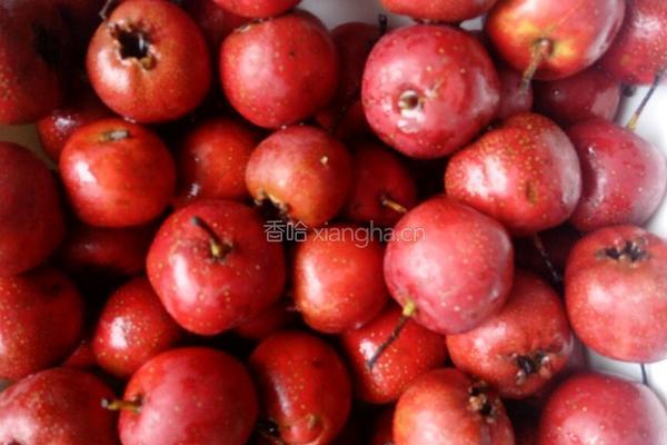 山楂雪糕的做法图解1