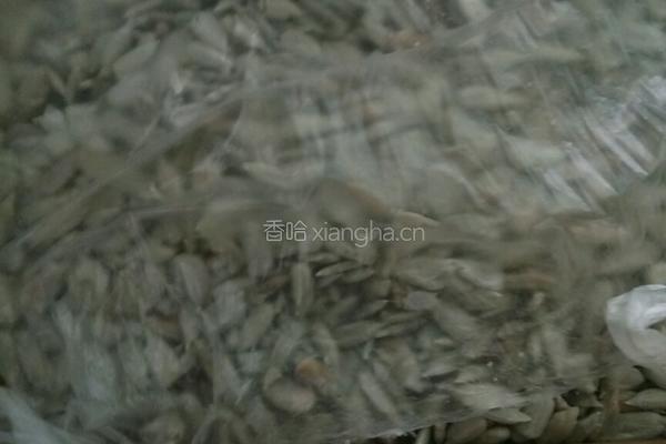 羊油油茶的做法图解2