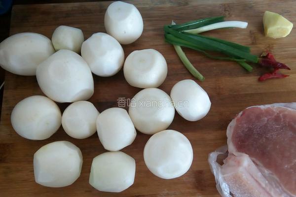 萝卜烧肉的做法图解1