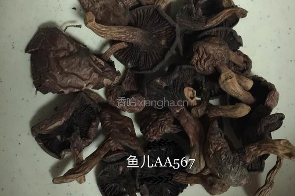 猪肉炖松伞蘑的做法图解1