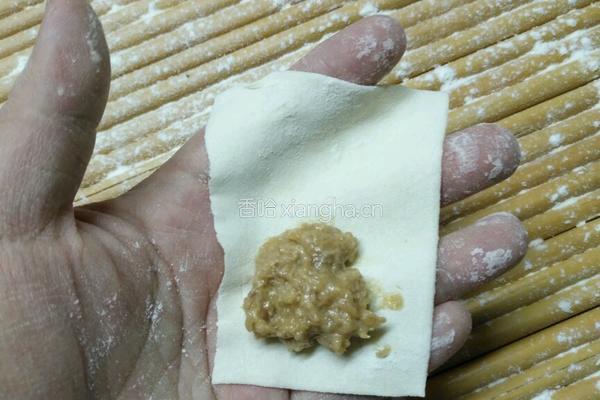 茡荠酱肉小馄饨的做法图解5