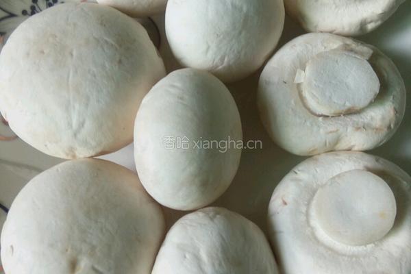 口蘑扒菠菜的做法图解1