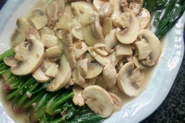 口蘑扒菠菜的做法图解11