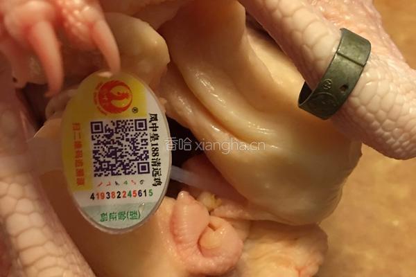 清远白切鸡的做法图解1