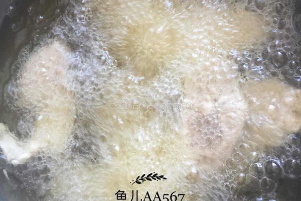 东北锅包肉的做法图解10