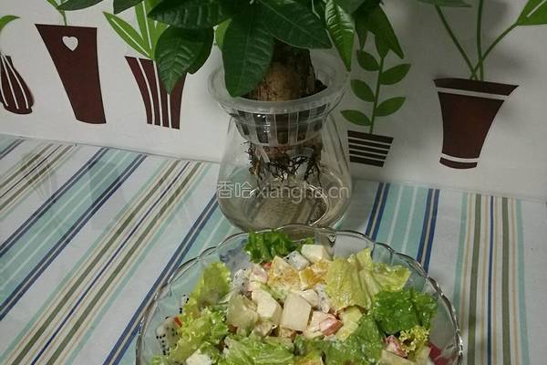 水果蔬菜沙拉