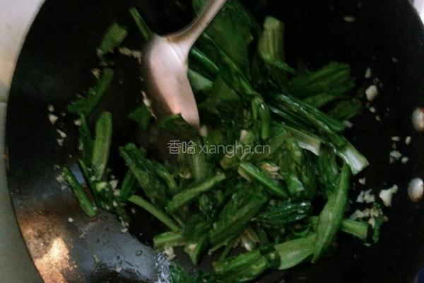 蒜蓉油麦菜的做法图解5