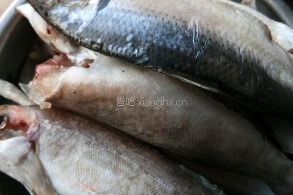 铁锅炖鱼贴饼子的做法图解1