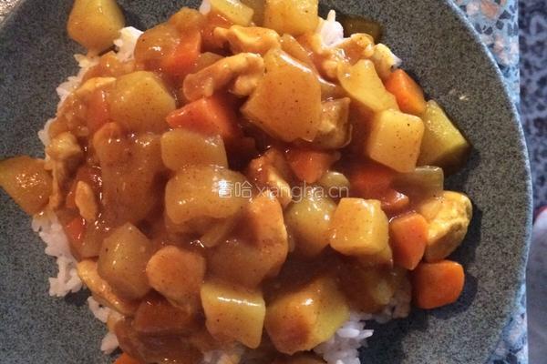 咖喱土豆鸡肉盖饭的做法图解8