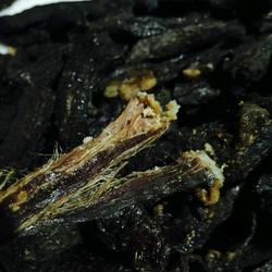 风干牛肉干的做法[图]