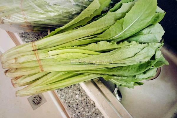 蒜泥油麦菜的做法图解1