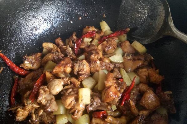 土豆烧鸡的做法图解4