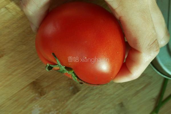牛肉番茄粥的做法图解4