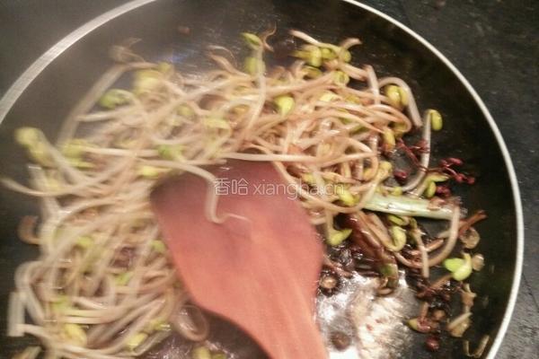 扁红薯粉炒豆芽的做法图解3