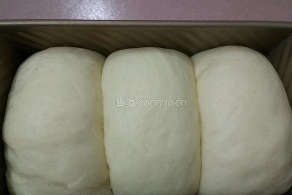 吐司(玉米油版)的做法图解15