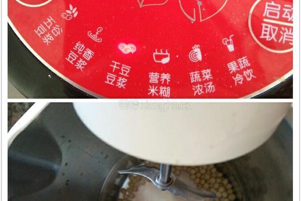 豆浆粥的做法图解2