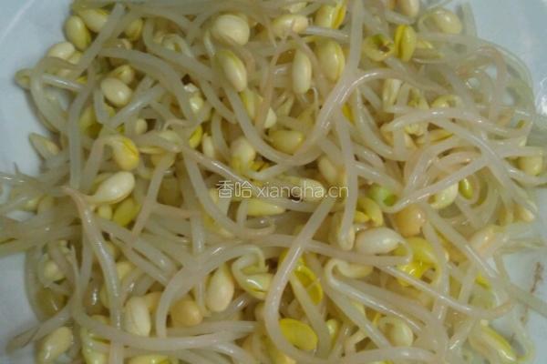 黄豆芽炒肉丝的做法图解1