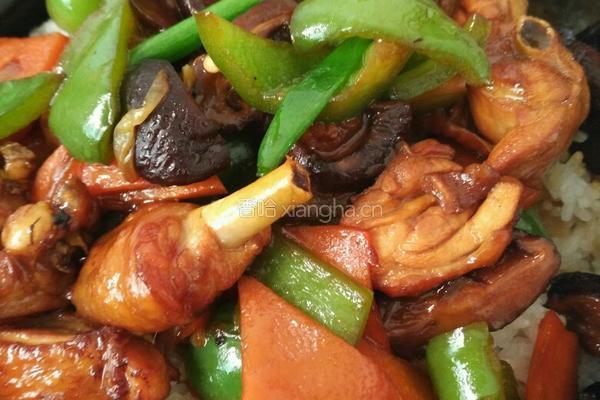 简版黄焖鸡米饭的做法图解4