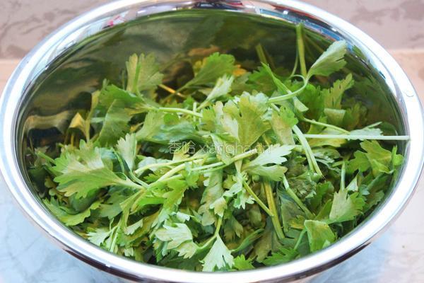 凉拌芹菜叶的做法图解1