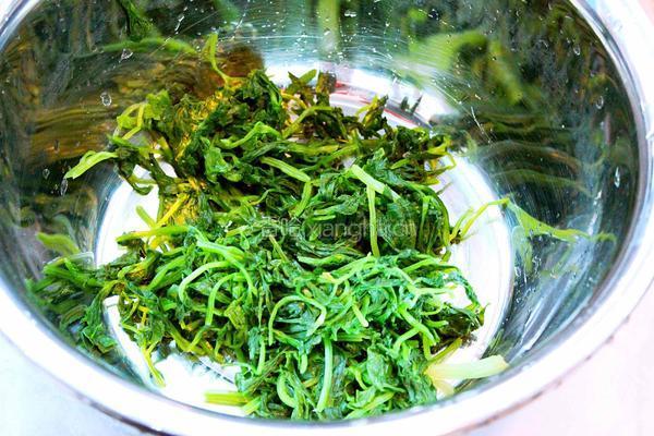 凉拌芹菜叶的做法图解4
