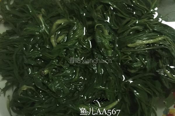 凉拌柳蒿芽的做法图解3