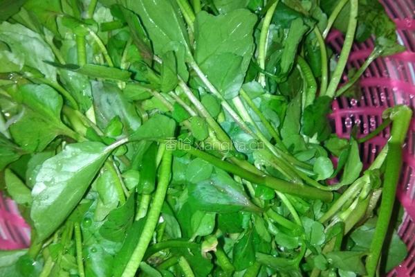 蒜头炒西洋菜的做法图解3