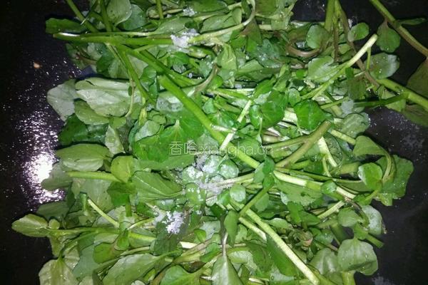蒜头炒西洋菜的做法图解5