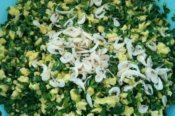 韭菜鸡蛋水饺的做法图解4