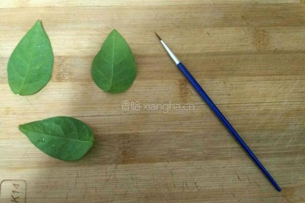 制作蛋糕装饰～巧克力叶子的做法图解2