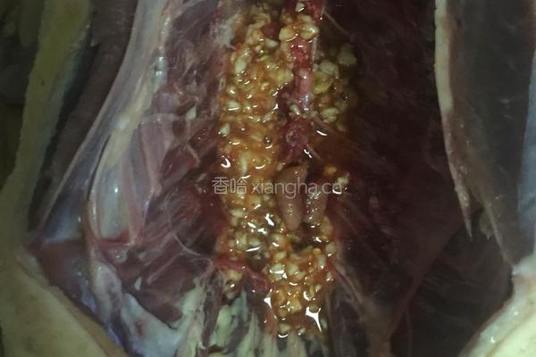 烤鸭的做法图解7