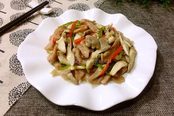 平菇炒肉的做法图解8