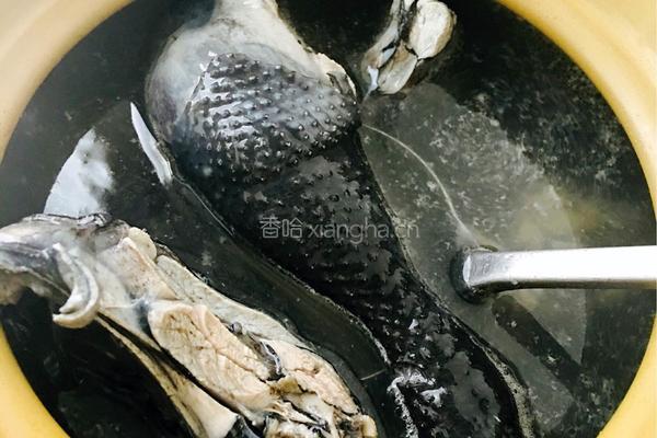 罗汉参乌鸡汤的做法图解3