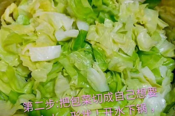 包菜泡菜的做法图解2