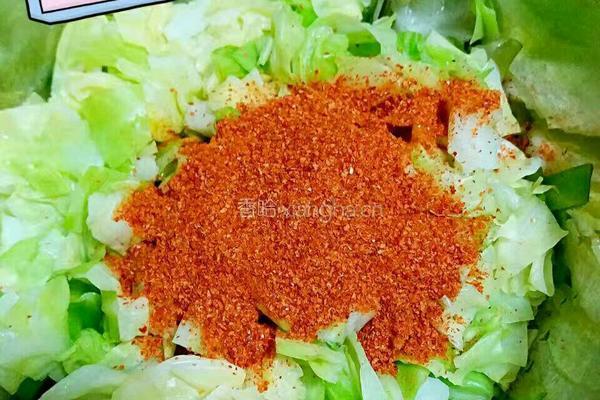 包菜泡菜的做法图解4