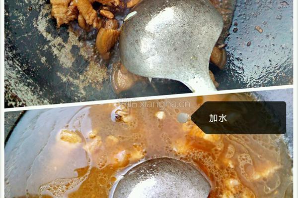萝卜丝炖粉条的做法图解3
