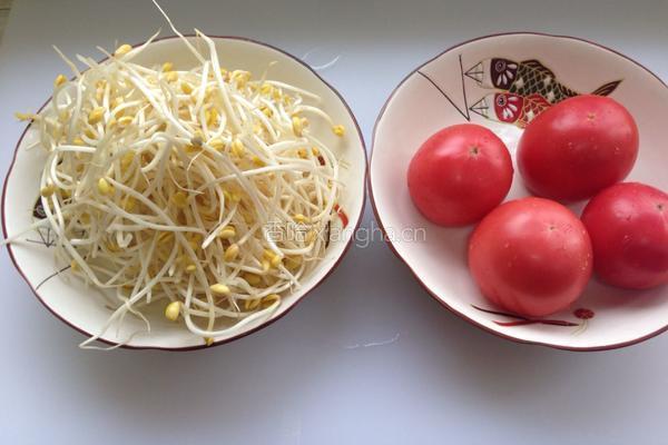 番茄炒豆芽的做法图解1