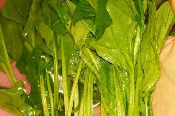 面筋菠菜汤的做法图解3