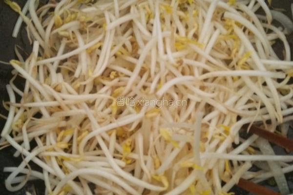 番茄配豆芽的做法图解4