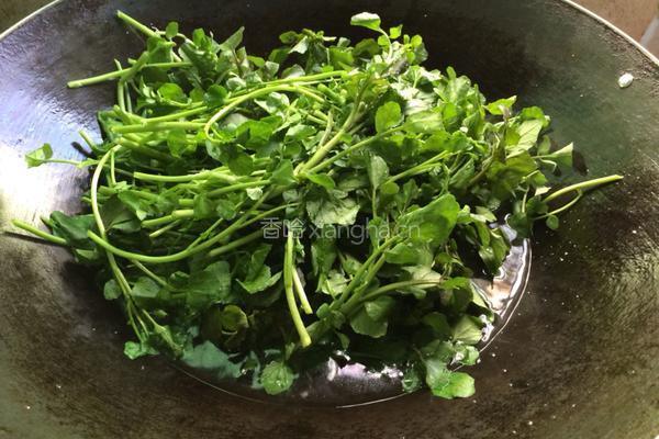 水煮西洋菜的做法图解4