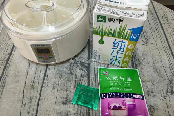 自制蓝莓酸奶的做法图解1