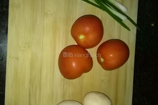 西红柿炒蛋的做法图解2