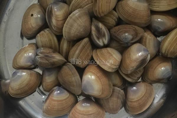 辣炒花噶的做法图解2